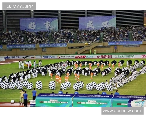 召唤足球球星共庆荣耀时刻，点燃激情与梦想的赛场传奇