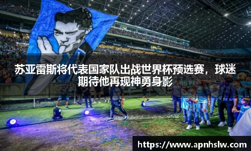 PA电子官方网站