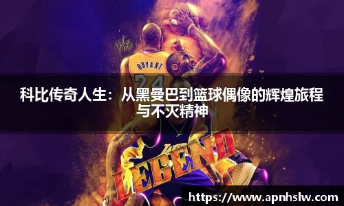 PA电子官方网站