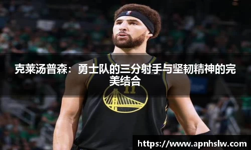 PA电子官方网站